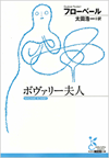 フローベール『ボヴァリー夫人』光文社古典新訳文庫